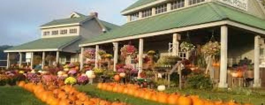 Harlow Farm Stand
