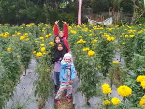 Narmada Botanic Garden