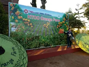 Htoo Orange Farm