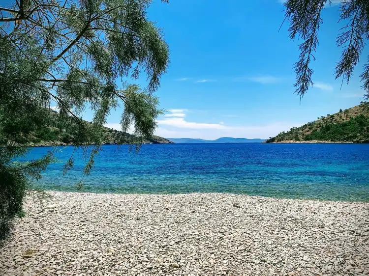 Volvi