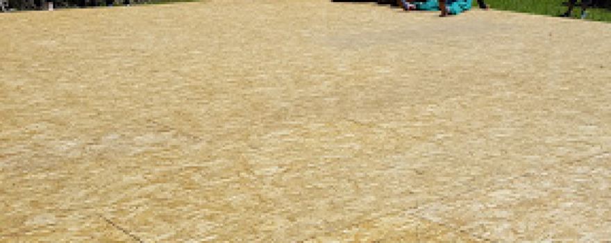 Sportplatz Radegast