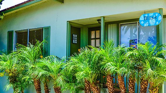 Bliss Facials and Waxing