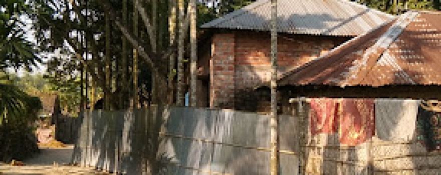 Thakurgonj Namazi Para Jame Masjid