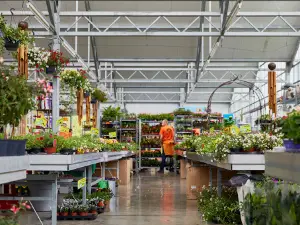 Horta Barry