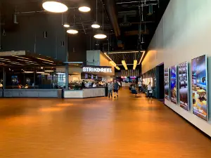 Strike + Reel