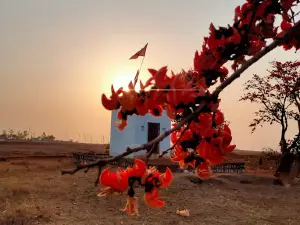 Tulsi Sarovar