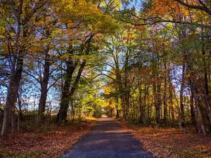 Mount Davis Natural Area
