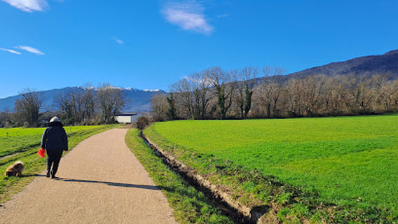 Green way (footpath & cycle path)