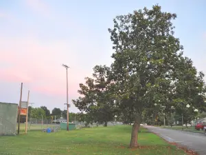 St. Mary's Park