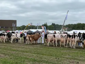 Det Sønderjyske Fællesdyrskue MKC