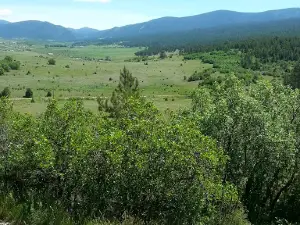 Mora River