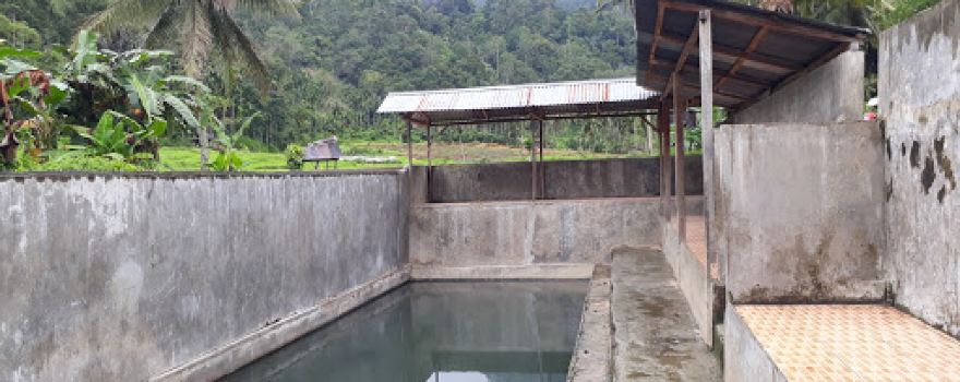 Kolom Pemandian Air Panas Pekan Selasa