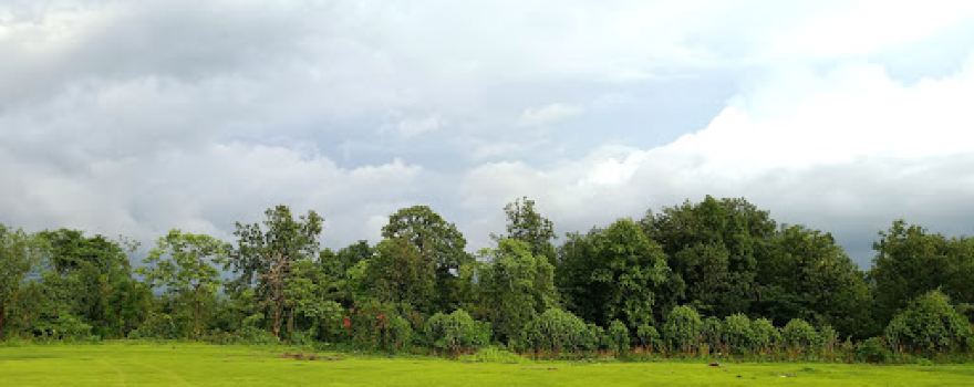Cricket Ground Veluk