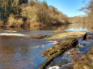 Low Barns Nature Reserve and Visitor Centre