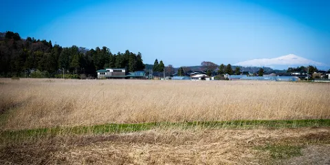 大山公園