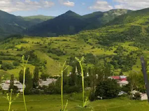 Yeniköy Posof