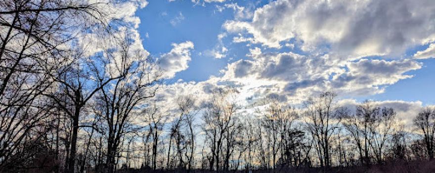 Arrowhead Park