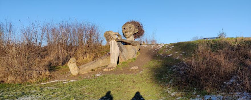 Avedøresletten