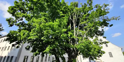 Katholische Pfarrgemeinde Sankt Johannes der Täufer Freiberg/Sachsen
