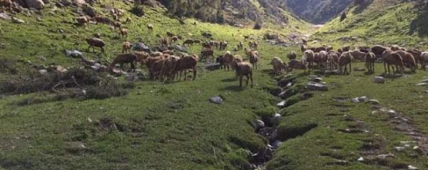 Kuh-e Mogholan
