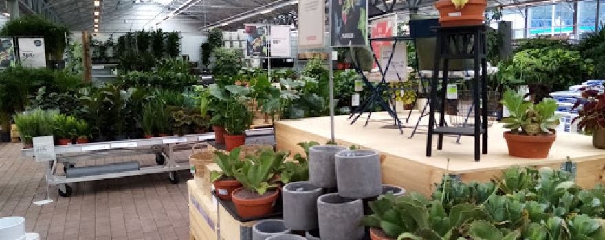 Plantasjen