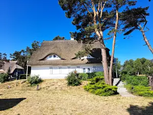 Hundestrand Dierhagen Ost