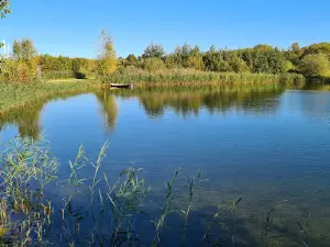 Aalsbogaard Lystfiskersøer
