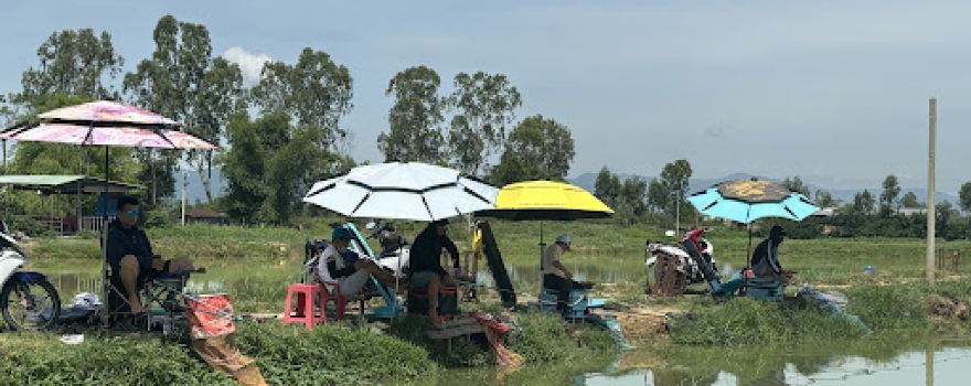 Hồ câu cá giải trí An Nhơn