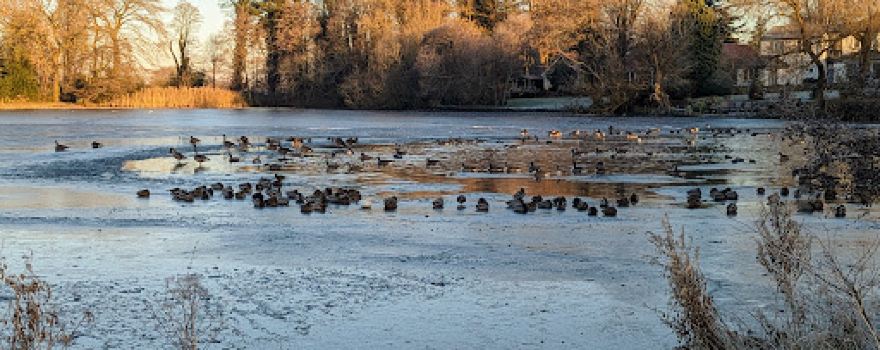 Poynton Park
