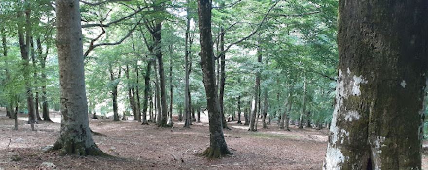 Monte La Croce