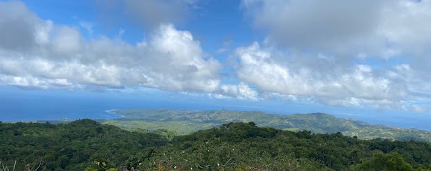 Mountain View Deck