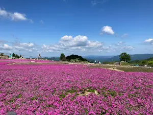 茶臼山高原 芝桜祭り