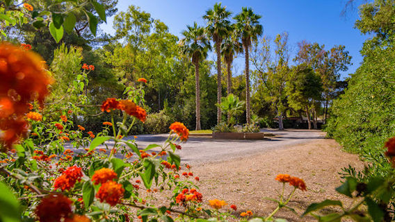 Sentinella Village Camping