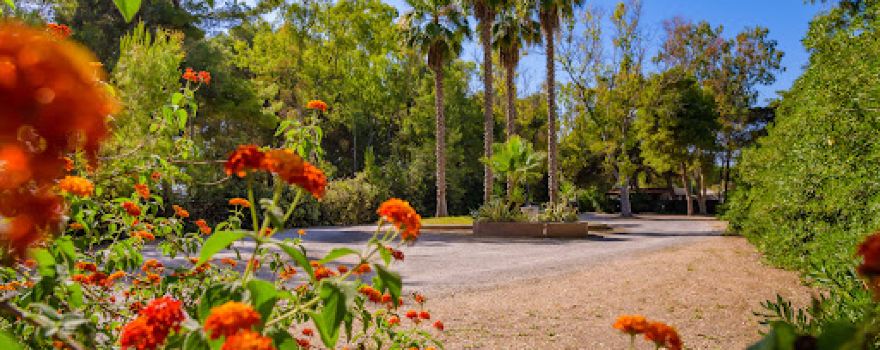 Sentinella Village Camping