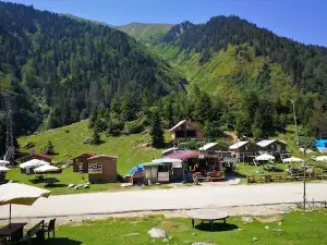Galer Düzü