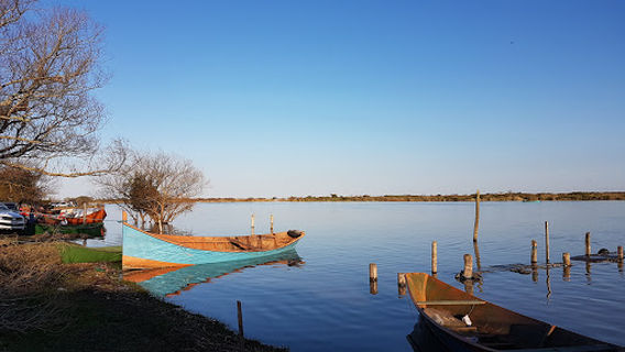 Aluguel Pescaria Dani
