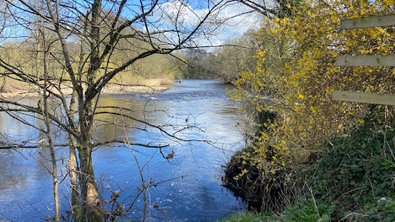 Masham
