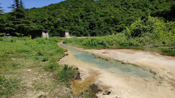 Gorące źródła siarkowodorowe