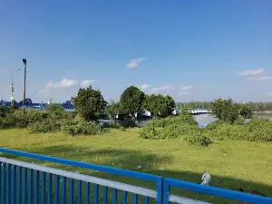 Dalia Picnic Spot