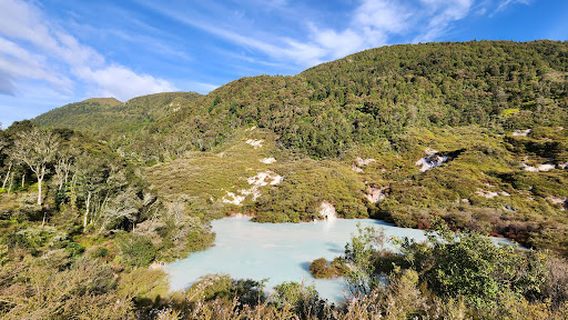 Te Kopia Scenic Reserve, Tihiroa o Paeroa, Boardwalk
