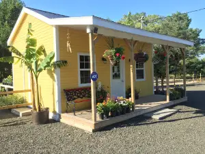 Neily's Greenhouse and Gardens