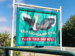 Ostrichland USA
