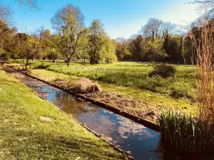 Mills Park