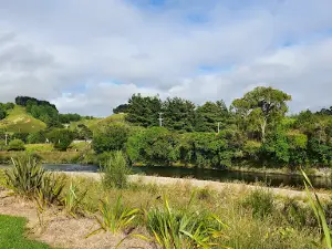 Mangatainoka Reserve