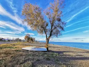 Lungomare di Mirto-Crosia