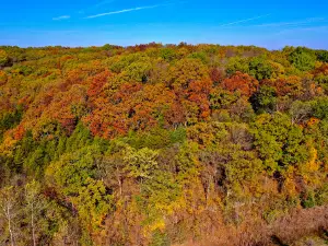 Reform Conservation Area