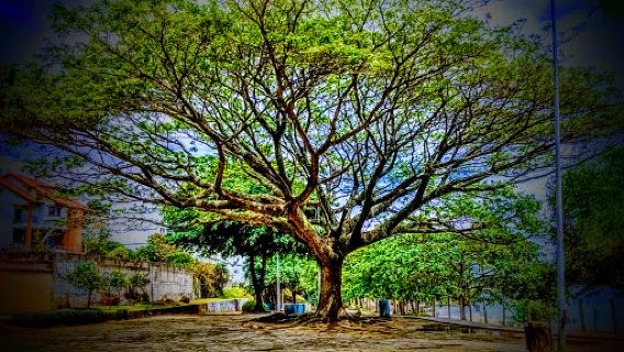 Praia Grande