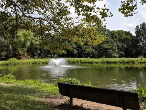 Black Bob Park