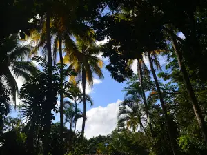Finca Villa Quezada
