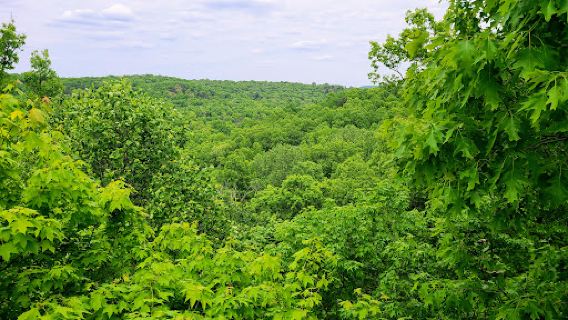 Bernheim Forest and Arboretum